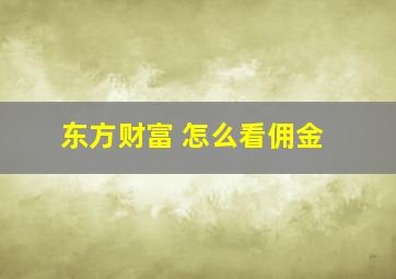 东方财富 怎么看佣金